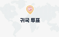 귀국투표